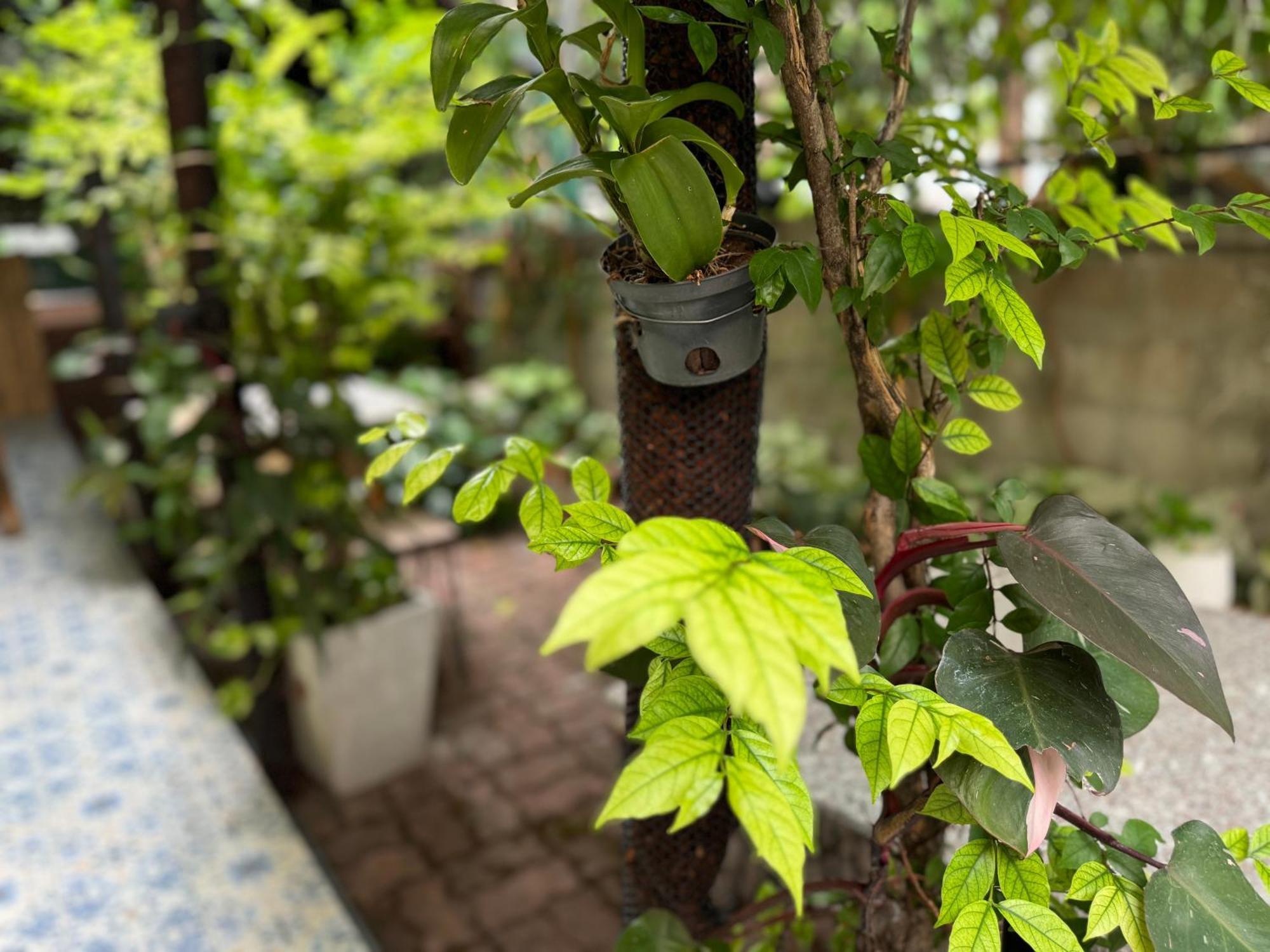 Retro At Phra Sing Guest House Chiang Mai Exterior photo